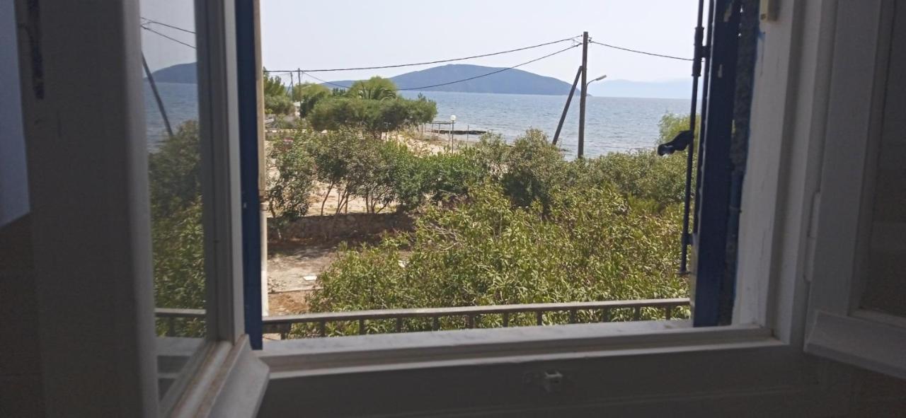 Vikos Beach Apartments Paralia Irion Exteriör bild