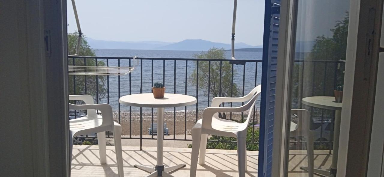 Vikos Beach Apartments Paralia Irion Exteriör bild