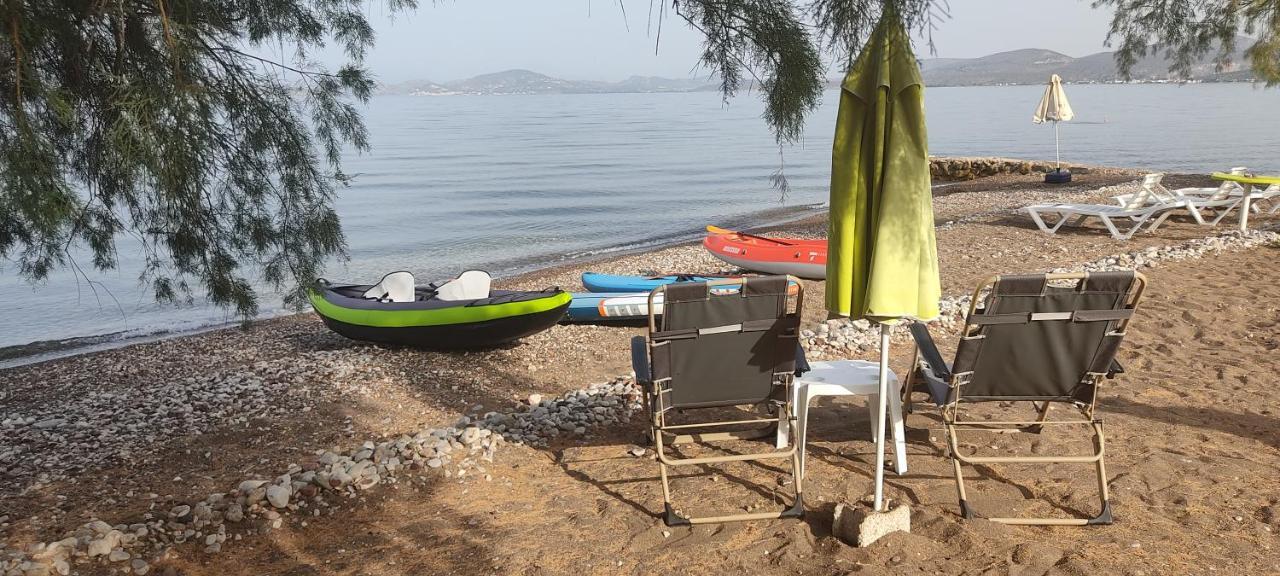 Vikos Beach Apartments Paralia Irion Exteriör bild